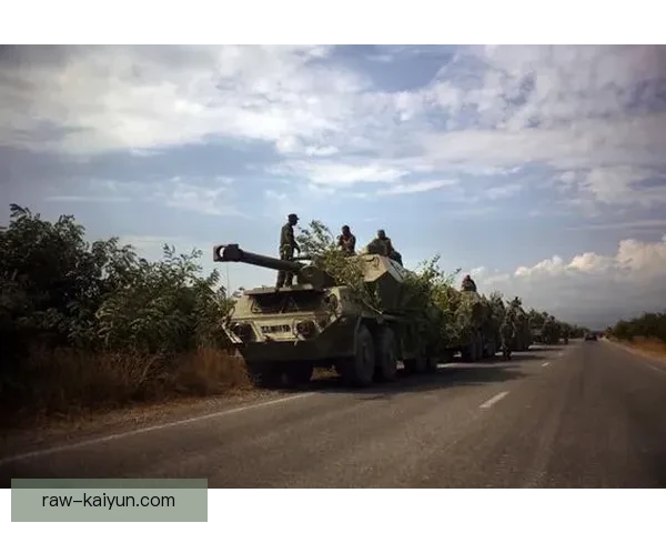 格鲁吉亚迅速反击，军事力量强势回应邻国侵犯行动，值得关注。